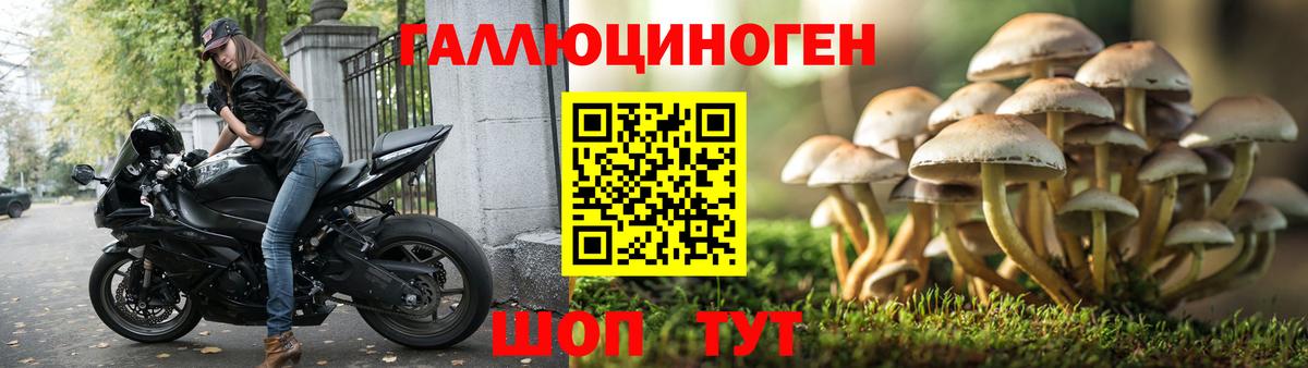 Алатырь  Псилоцибиновые грибы мухоморы  цены   Вход с VPN 